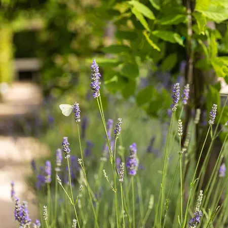 Hotel Palazzo Del Capitano Wellness & Relais - Luxury Borgo Capitano Collection 4*